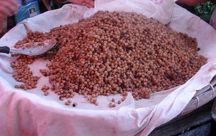 生活随笔：珍珠豆炒饭联想-了因