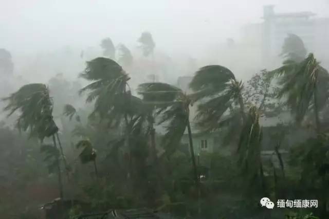 摩拉正肆虐若开邦