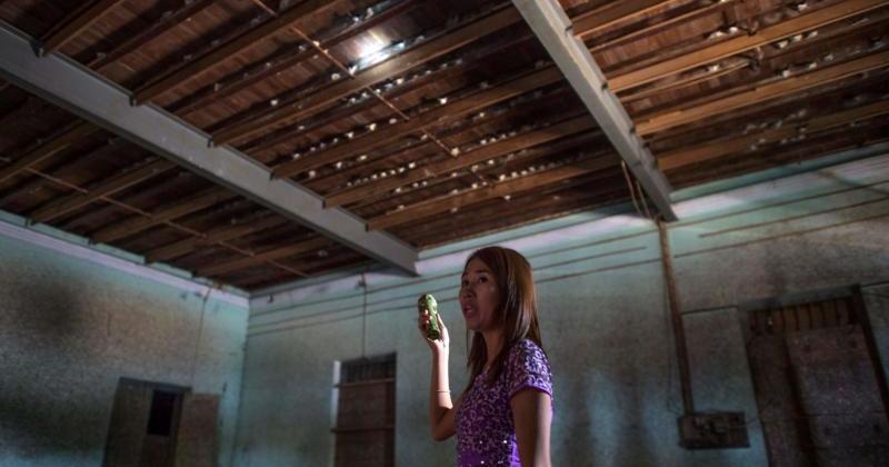 “燕房”处处 缅南博宾镇成著名燕窝产地