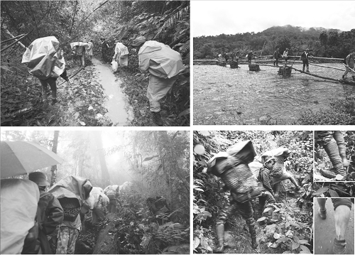 缅甸生物多样性保护迫在眉睫