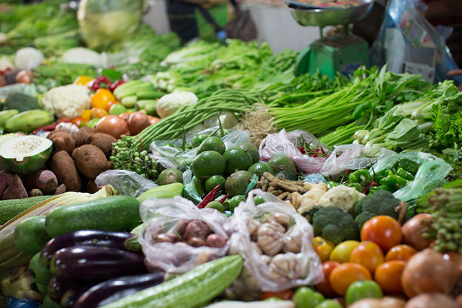 柬埔寨政府扶持安全蔬菜生产