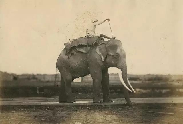 一组缅甸老照片 记录百年沧桑沉浮