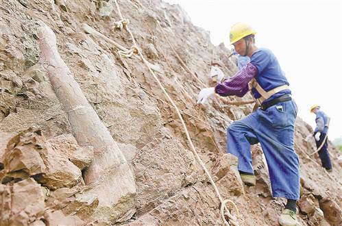 重磅！重庆市云阳发现世界级侏罗纪恐龙化石群