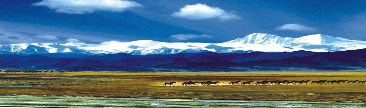 申遗成功后 中国保证不会迫可可西里藏民迁移