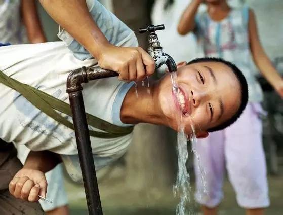 缅甸水资源究竟占亚洲水资源的多少百分比？伊江树