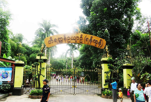 仰光动物园新闻二则：(一) 飞禽馆展览将限制 ；(二) 世界大象日活动