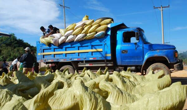 印度限制进口缅甸豆类