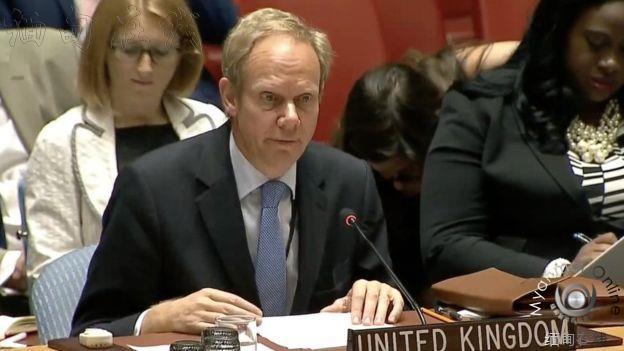 英国驻联合国代表提议就若开恐袭召开安理会会议