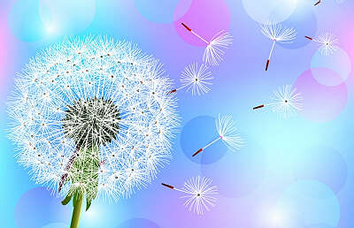 【七绝三首平水韵】-腊戌王胜