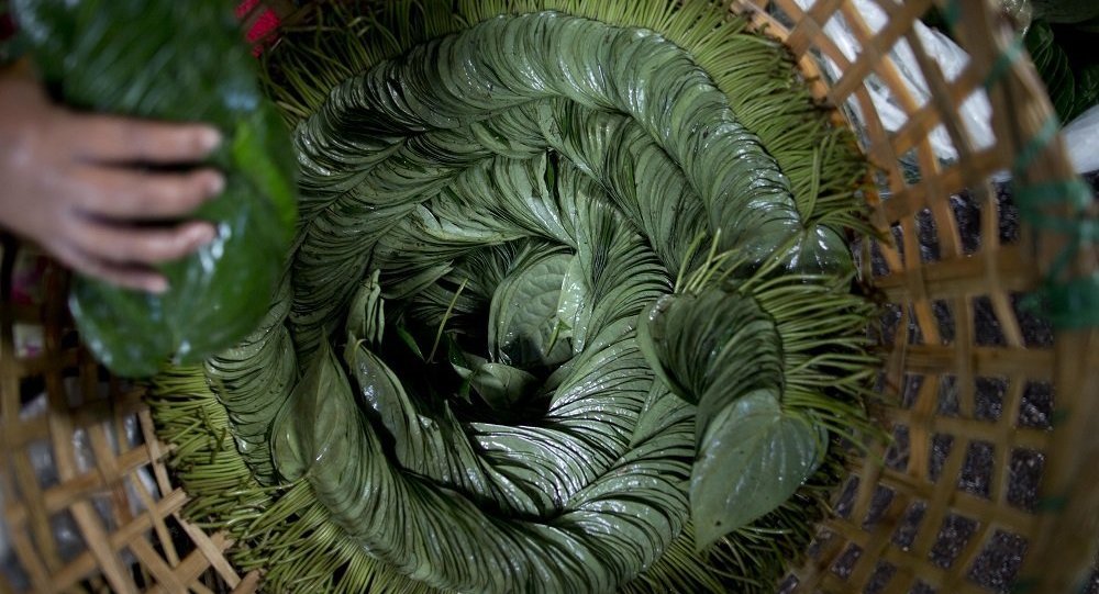 昂山素季发起反槟榔运动:槟榔搭烟草易致癌