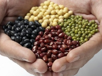 缅甸五种农渔产品出口日本卖得好价钱