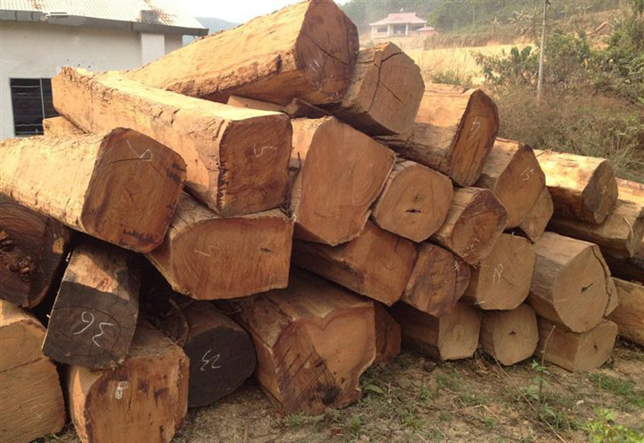 缅花全面停止出口 5个月涨了50%