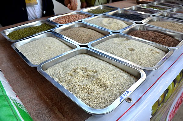 日本此时退回缅甸出口农产品，真是产品的原因？