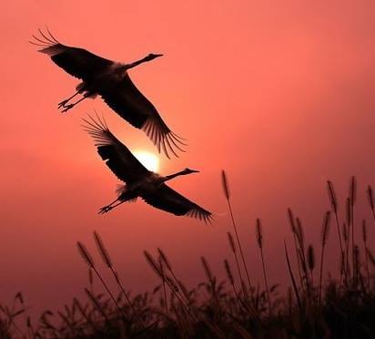 《秋定》——卢进