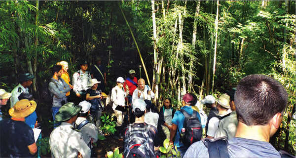 德国教授率团来缅甸林区进行科学考察工作