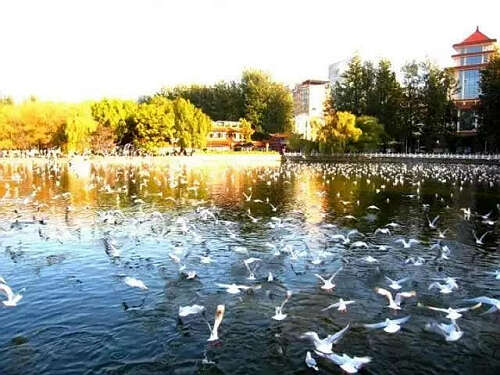 《翠湖景色》——晏发浩