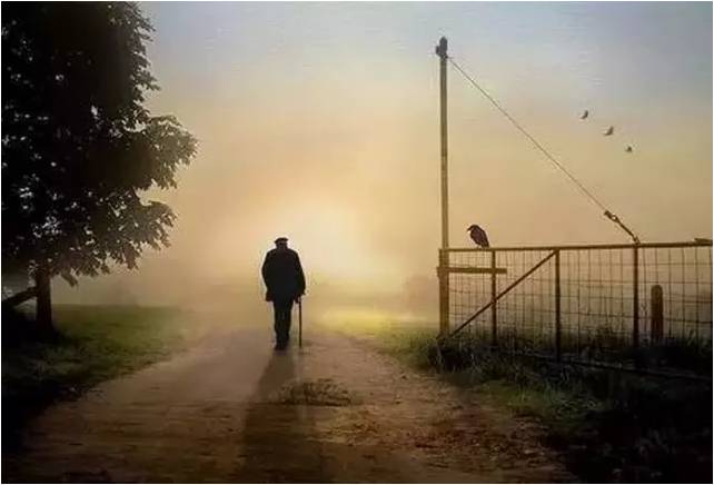 《当我老了》——刘莹