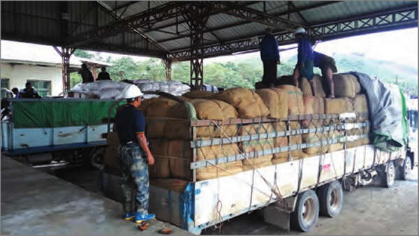 缅甸水产品7个月来出口创汇近3.6亿美元