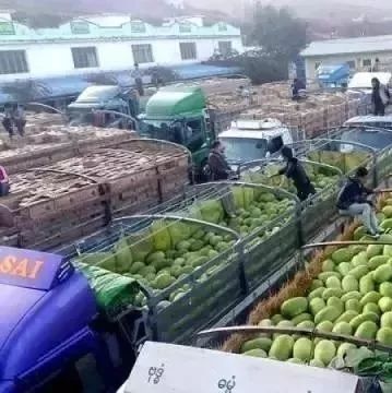 木姐水果市场供过于求