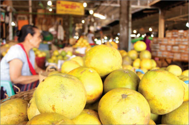 缅甸孟邦柚子正准备进入国际市场