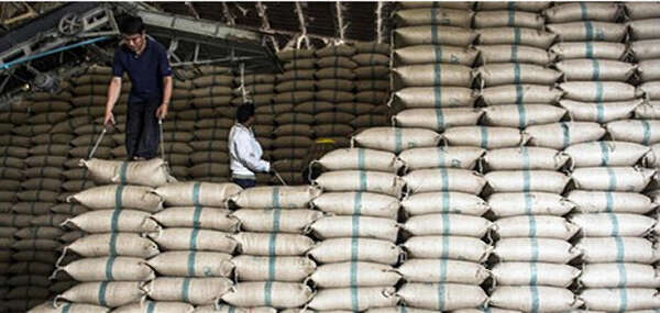 本财年缅甸大米出口量创六十年以来新高