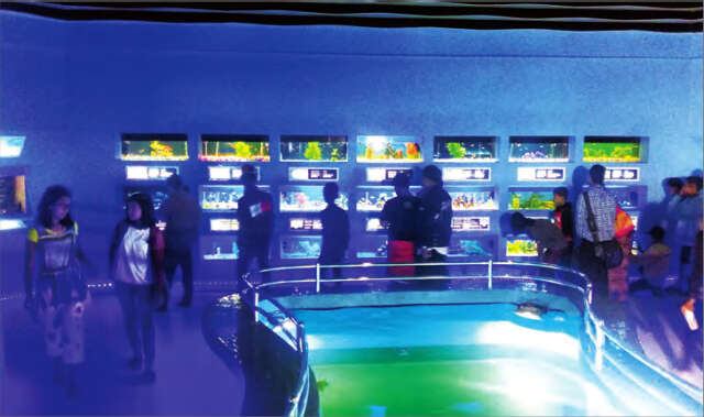 内比都动物园的水族馆升级开放