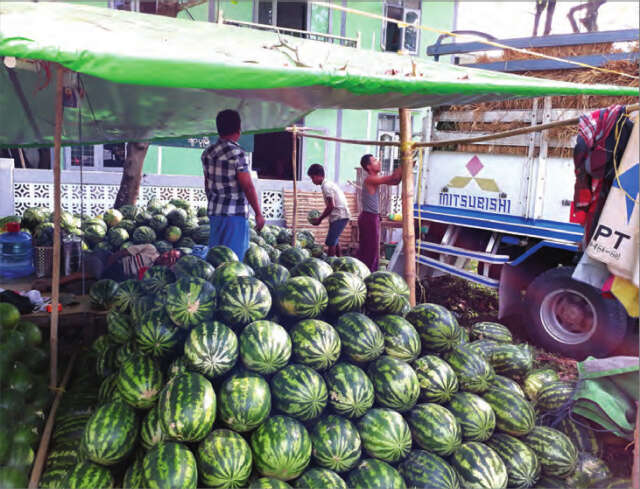 缅甸西瓜畅销国内外市场