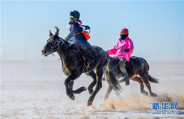 内蒙古冰雪草原上的骆驼文化节