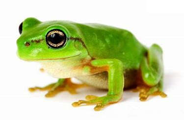 勇者三则（叶国治）