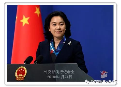 华春莹：积极适应和引导好经济全球化