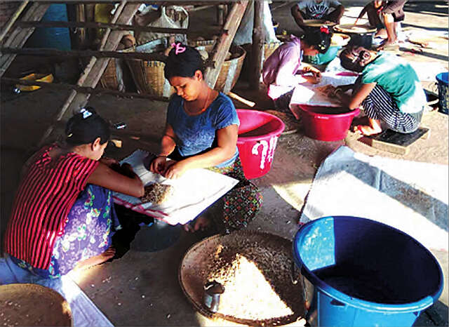 孟邦水产业今年大丰收