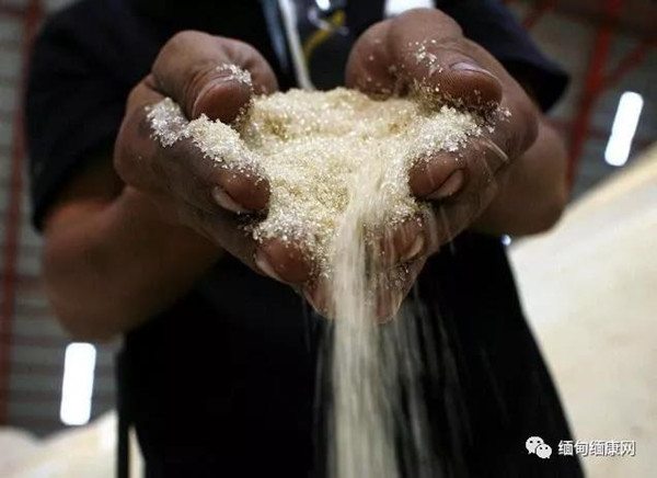 进口过量 超过需求 缅甸糖价下滑