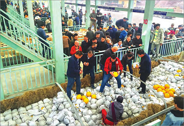 105英里贸易区瓜果市场买卖十分热络
