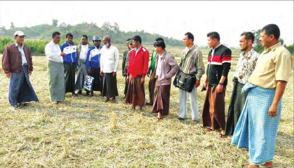 缅甸官方报纸指出美联社的报导不实