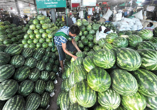 西瓜香瓜价钱上扬瓜农们仍是入不敷出