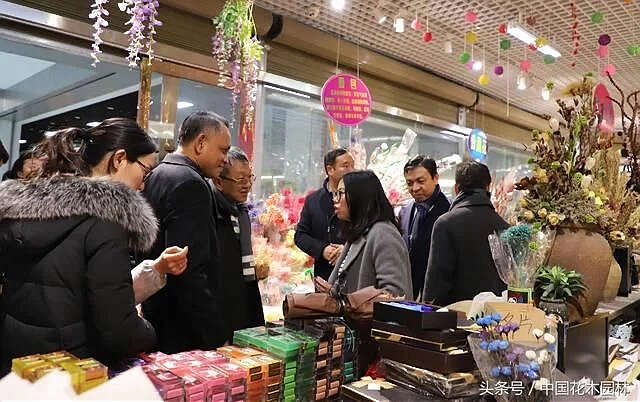 缅甸代表团考察斗南花花世界