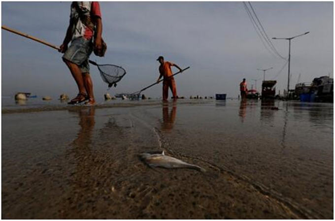 海岸线下降威胁印度尼西亚沿海居民生活