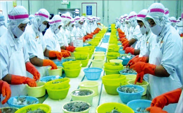 2017—18财政年度缅甸水产品出口创20年来的新高记录