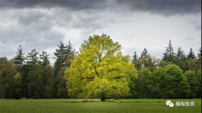 “一带一路”发展绿色经济的挑战