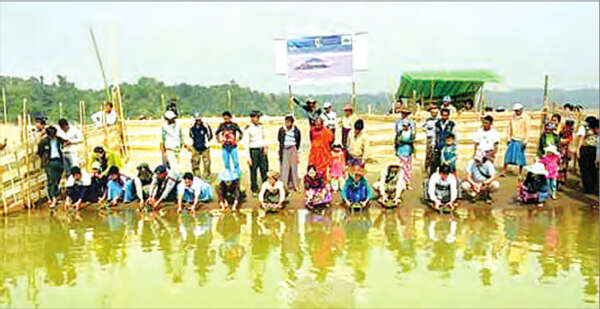 缅甸本土岱龟在亲敦江上游放生