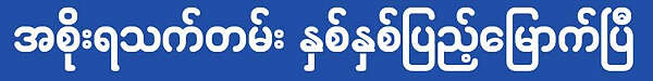 缅甸新政府两周岁了