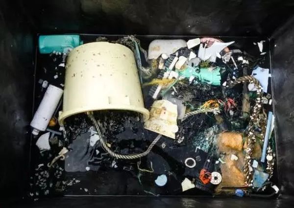 触目惊心！美国附近的太平洋垃圾岛，已有三个法国那么大