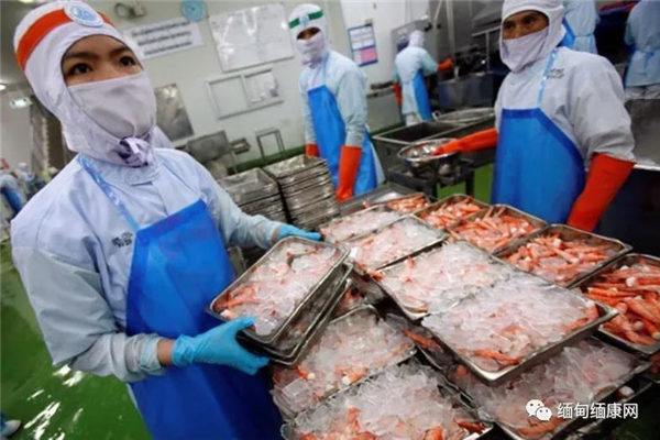 政府计划建冷库盖工厂大力发展鱼虾出口 创造10万个就业机会