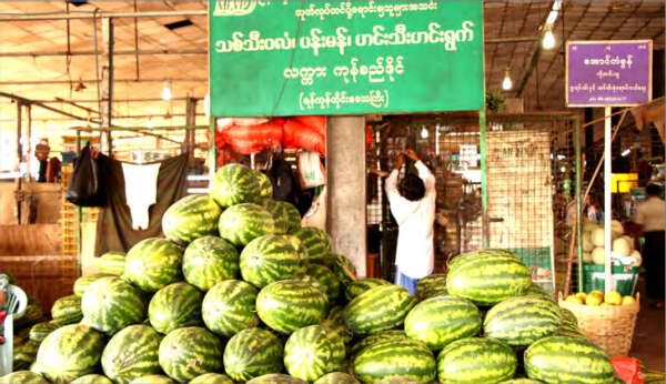 2018—19财政年度缅甸将扩大瓜果的出口量