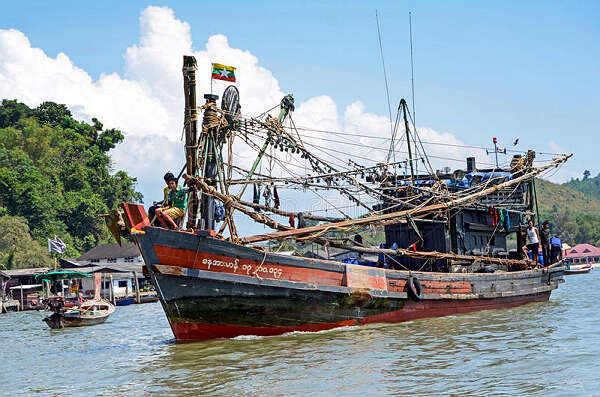 德林达依海域内鱼类资源只剩下20%