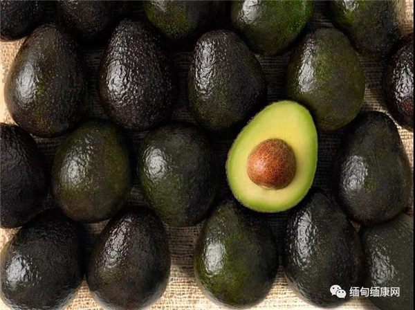 商务部：计划合法出口缅甸牛油果到中国 稳固市场