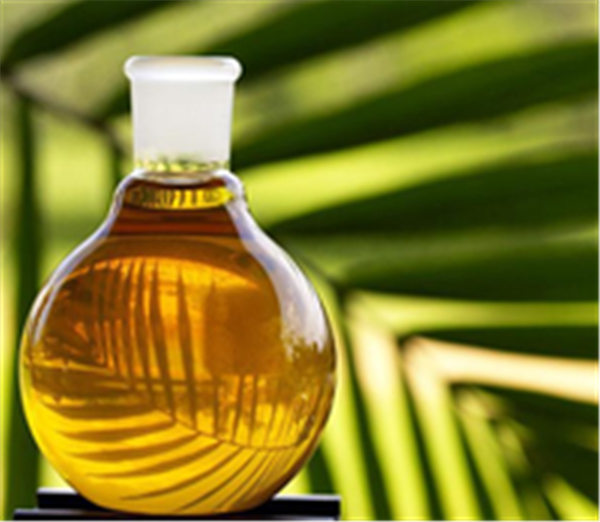 因进口食用棕榈油导致曼德勒省内榨油厂80%已暂停运作