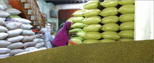 印度虽放宽限制但缅甸豆类市场远景还不乐观