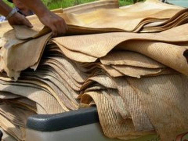 新财政年度缅甸有望出口天然橡胶14万吨