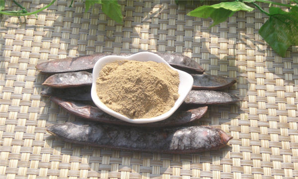 缅甸尝试向泰国出口干皂荚